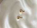 natural shell with CZ stone at center gold filed work